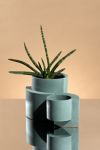 Thumbnail View 1: Tortuga Forma Concrete Planter - Set of 2