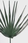 Thumbnail View 3: Roxanne’s Dried Flowers Palm Leaf