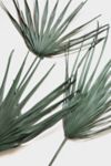 Thumbnail View 1: Roxanne’s Dried Flowers Palm Leaf