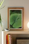 Thumbnail View 1: Stephanie DeFeo Green Art Print