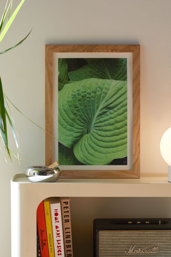 Slide View: 1: Stephanie DeFeo Green Art Print