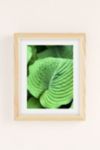 Thumbnail View 2: Stephanie DeFeo Green Art Print