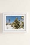 Thumbnail View 2: Stephanie DeFeo Colorado Art Print