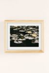 Thumbnail View 2: Reproduction artistique Midsumnmer Lily Lauren Yard