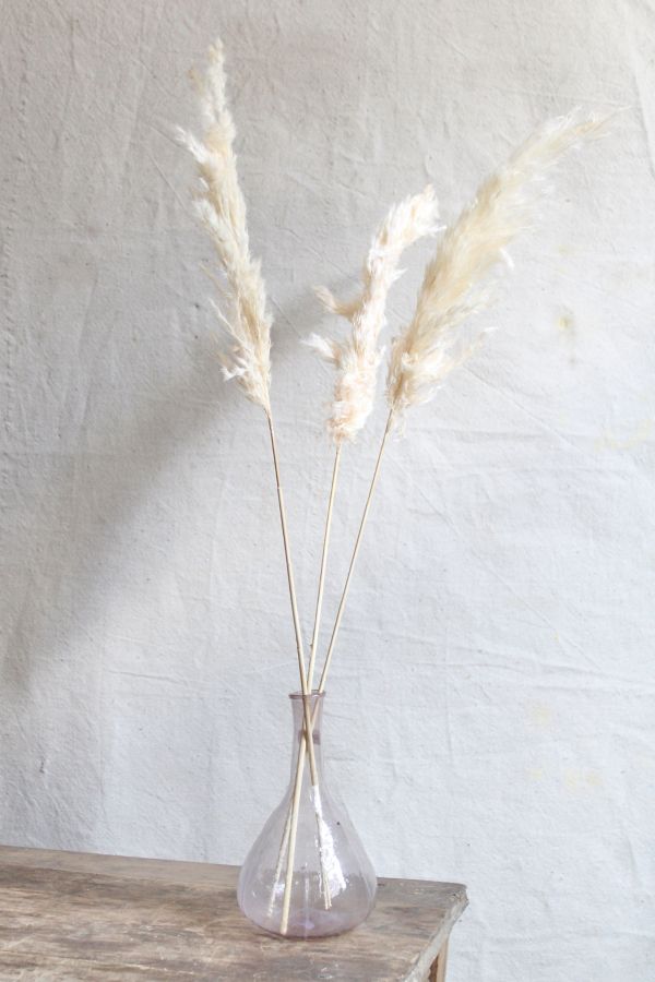 Slide View: 2: Roxanne’s Dried Flowers Pink Pampas Grass