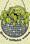 Thumbnail View 2: Boss Dotty Disco Planter Birthday Card