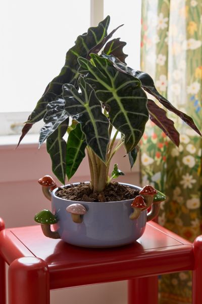 Sprouting Mushroom Ceramic Planter