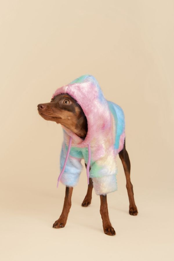 Slide View: 2: Little Beast Tie-Dye Fleece Pet Hoodie