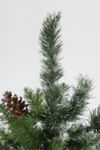 Thumbnail View 4: Snowy Delta Pine with Cones 4ft Artificial Christmas Tree