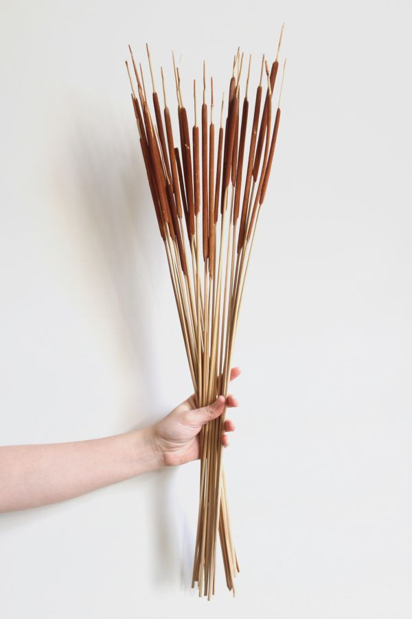 Slide View: 3: Roxanne’s Dried Flowers Pencil Cattails