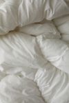 Thumbnail View 5: Gwendolyn Puffy Comforter