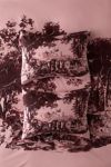 Thumbnail View 2: Goose Toile Breezy Cotton Percale Sham Set