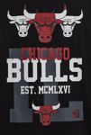 Thumbnail View 3: Mitchell & Ness NBA Chicago Bulls Soul Team Logo Graphic Tee