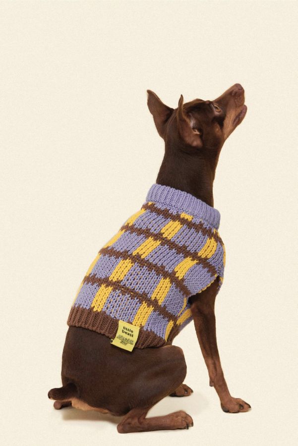 Slide View: 1: Little Beast Meet the Parents x Memorial Day Pet Sweater