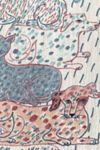 Thumbnail View 2: Olivia Wendel Sprinkled Cat and Dogs Blanket