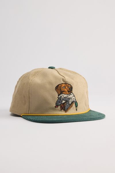 Dark Seas Loyal Dog Corduroy Hat