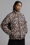 Thumbnail View 1: Wednesday's Girl Leopard Print Puffer Coat