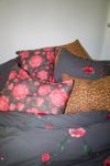 Thumbnail View 1: Lana Rose Breezy Cotton Percale Sham Set