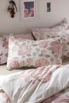 Thumbnail View 2: Lana Rose Breezy Cotton Percale Sham Set