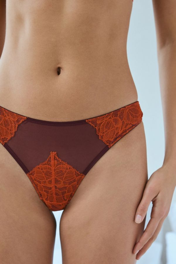 Slide View: 2: Dora Larsen Siena Delicate Lace Undie