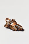 Thumbnail View 4: Steve Madden Graya Leopard Print Calf Hair Buckle Flat