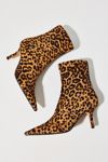 Thumbnail View 1: Steve Madden Alston Leopard Print Ankle Boot