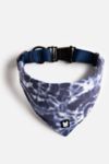 Thumbnail View 2: Silver Paw Poplin Bandana Dog Collar