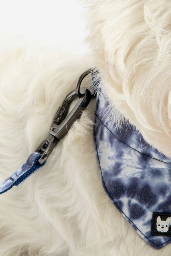 Slide View: 4: Silver Paw Poplin Bandana Dog Collar