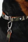 Thumbnail View 3: Silver Paw Poplin Dog Leash