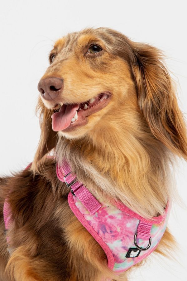 Slide View: 1: Silver Paw Poplin Dog Harness