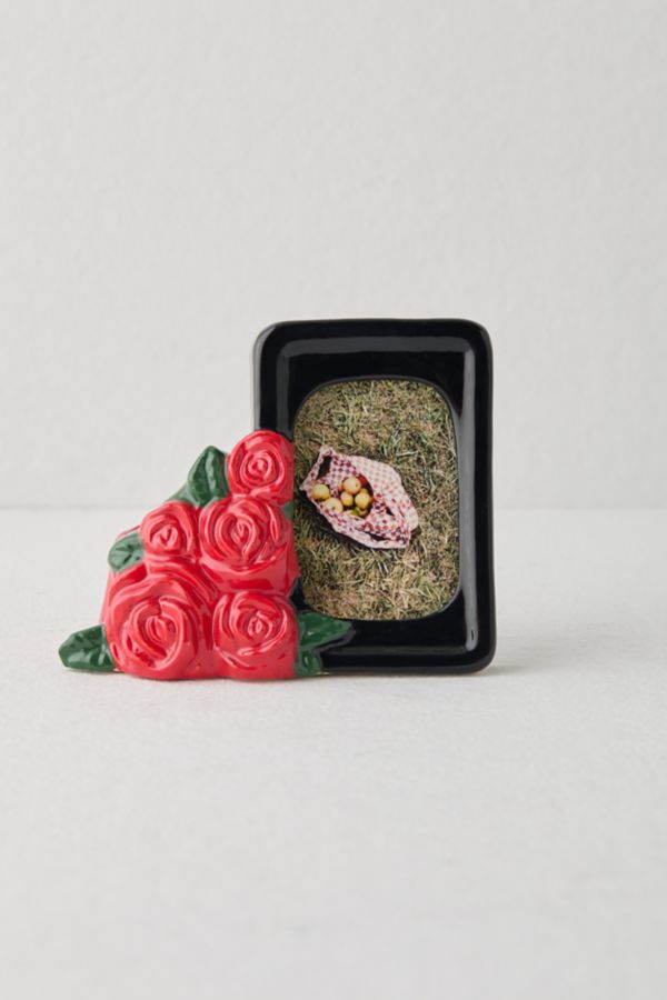 Slide View: 1: Roses INSTAX MINI Picture Frame Vase