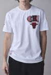 Thumbnail View 2: Pro Standard NBA Chicago Bulls Team Logo Tee