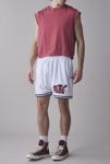 Thumbnail View 2: Pro Standard MLB Atlanta Braves Mesh Basketball Short