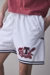 Thumbnail View 1: Pro Standard MLB Atlanta Braves Mesh Basketball Short