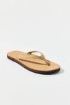 Thumbnail View 4: Rainbow Narrow Strap Flip Flop Sandal