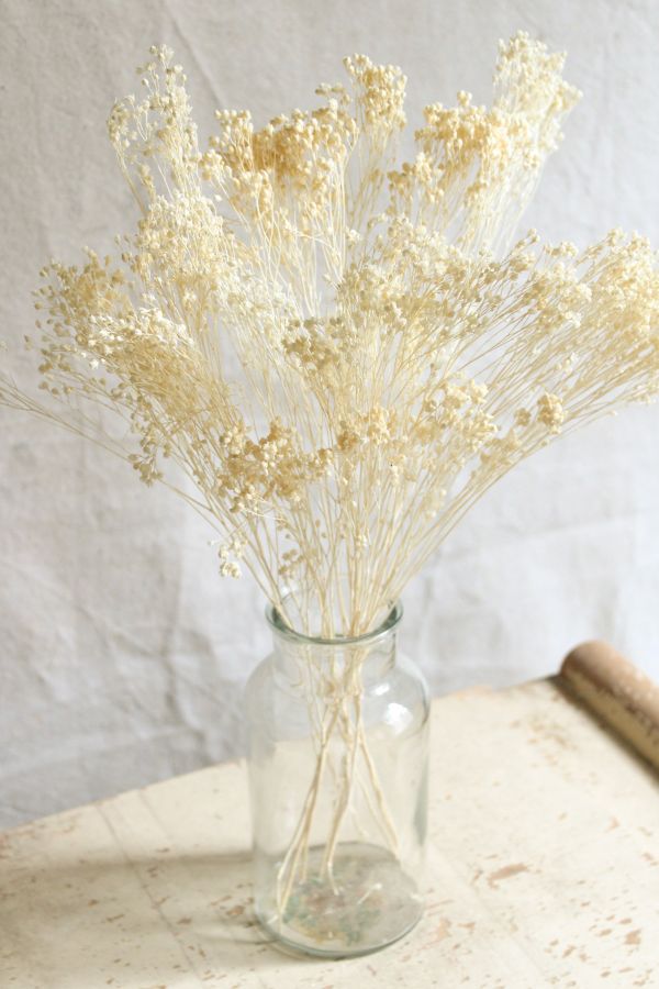 Slide View: 2: Roxanne’s Dried Flowers Bleached Gypsophila Bloom