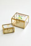 Thumbnail View 4: Citrus Spritz Printed Glass Trinket Box