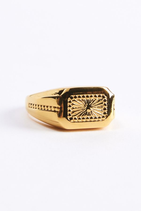 Slide View: 1: Bague Signet Theo