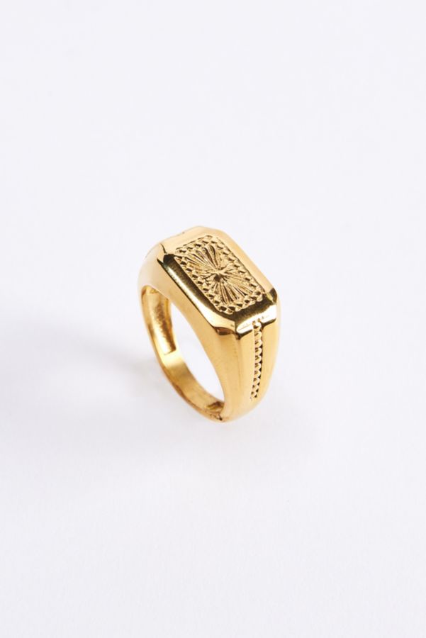 Slide View: 2: Bague Signet Theo