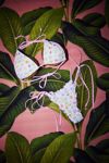 Thumbnail View 1: Kulani Kinis Cutie Frutti Lettuce Edge String Bikini Bottom