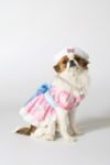 Thumbnail View 1: Sanrio Hello Kitty Pet Costume