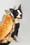 Thumbnail View 2: Taco Pet Costume