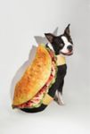 Thumbnail View 1: Taco Pet Costume