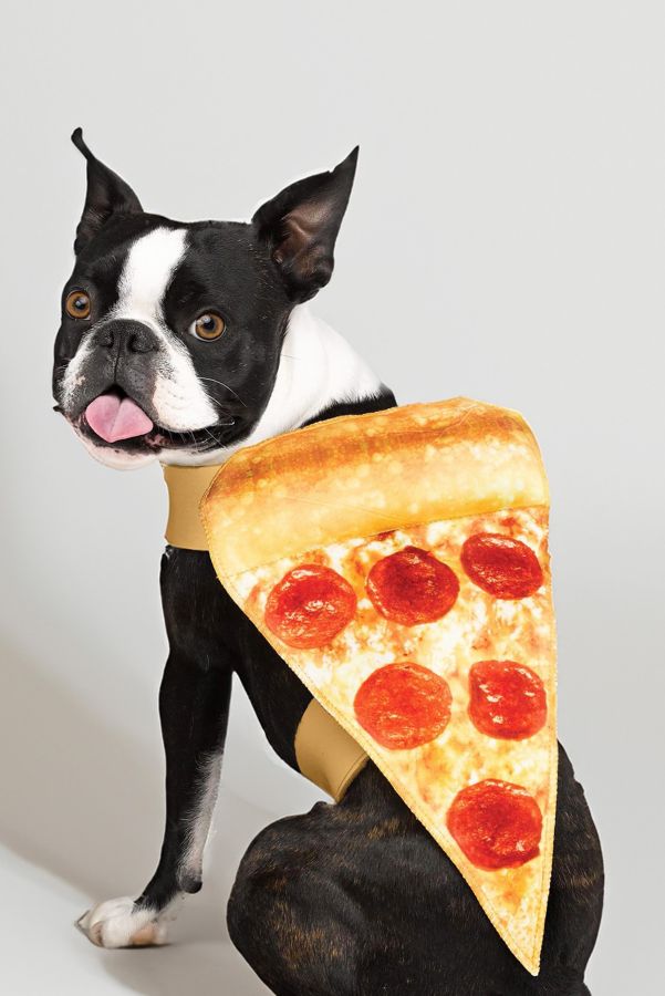 Slide View: 2: Pizza Pet Costume