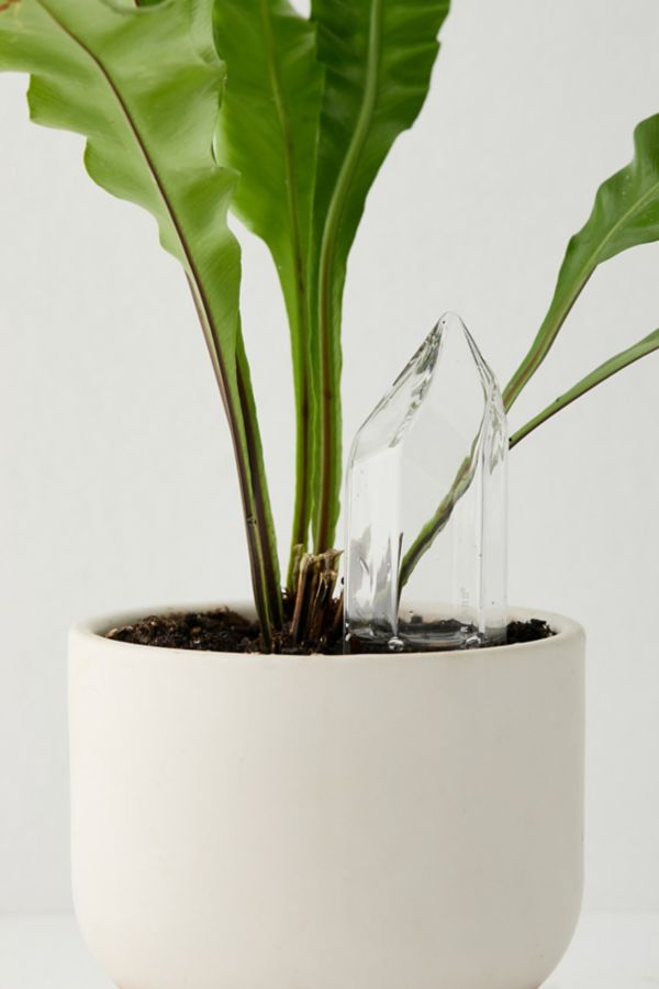 Slide View: 2: Glass Crystal Self-Watering Bulb