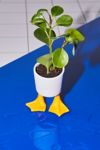 Thumbnail View 1: Duck Feet Planter