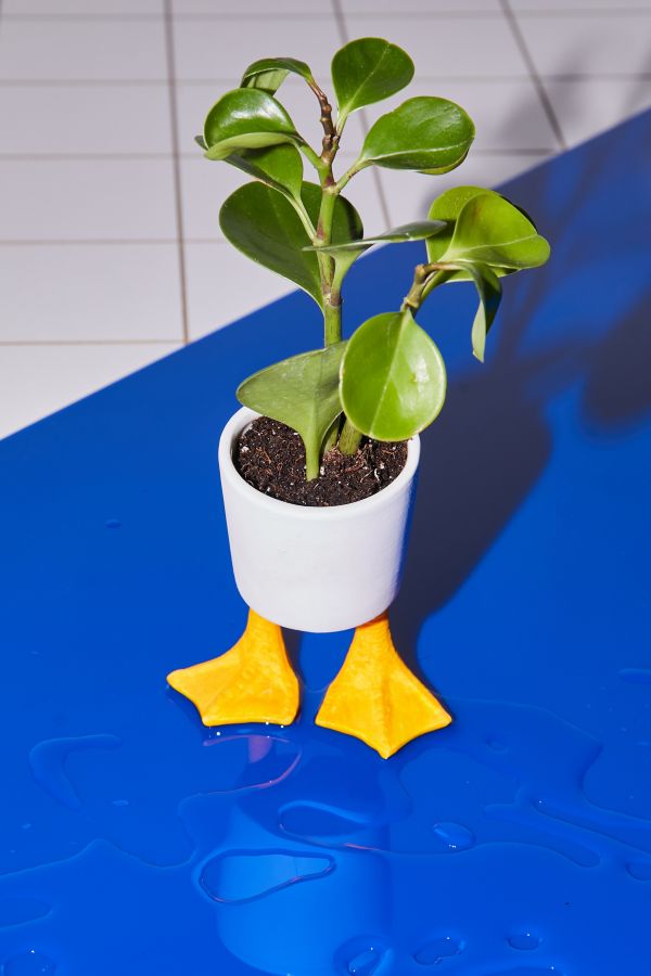 Slide View: 1: Duck Feet Planter