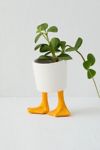 Thumbnail View 3: Duck Feet Planter