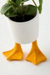 Thumbnail View 4: Duck Feet Planter