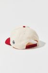 Thumbnail View 2: Dairy Boy Americana Snapback Baseball Hat